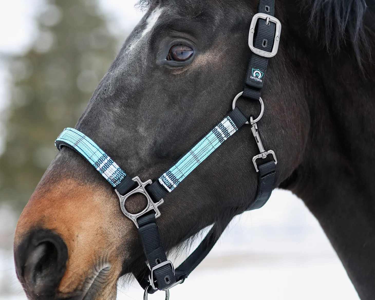 Kensington™ Premium Halter