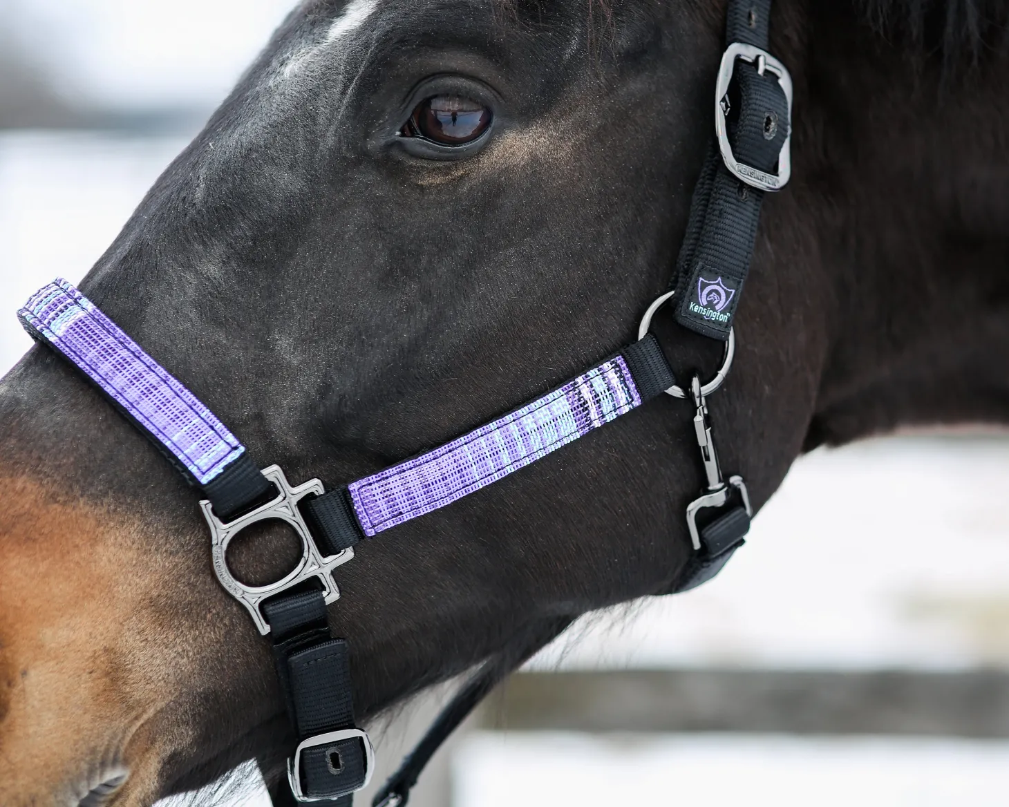 Kensington™ Premium Halter