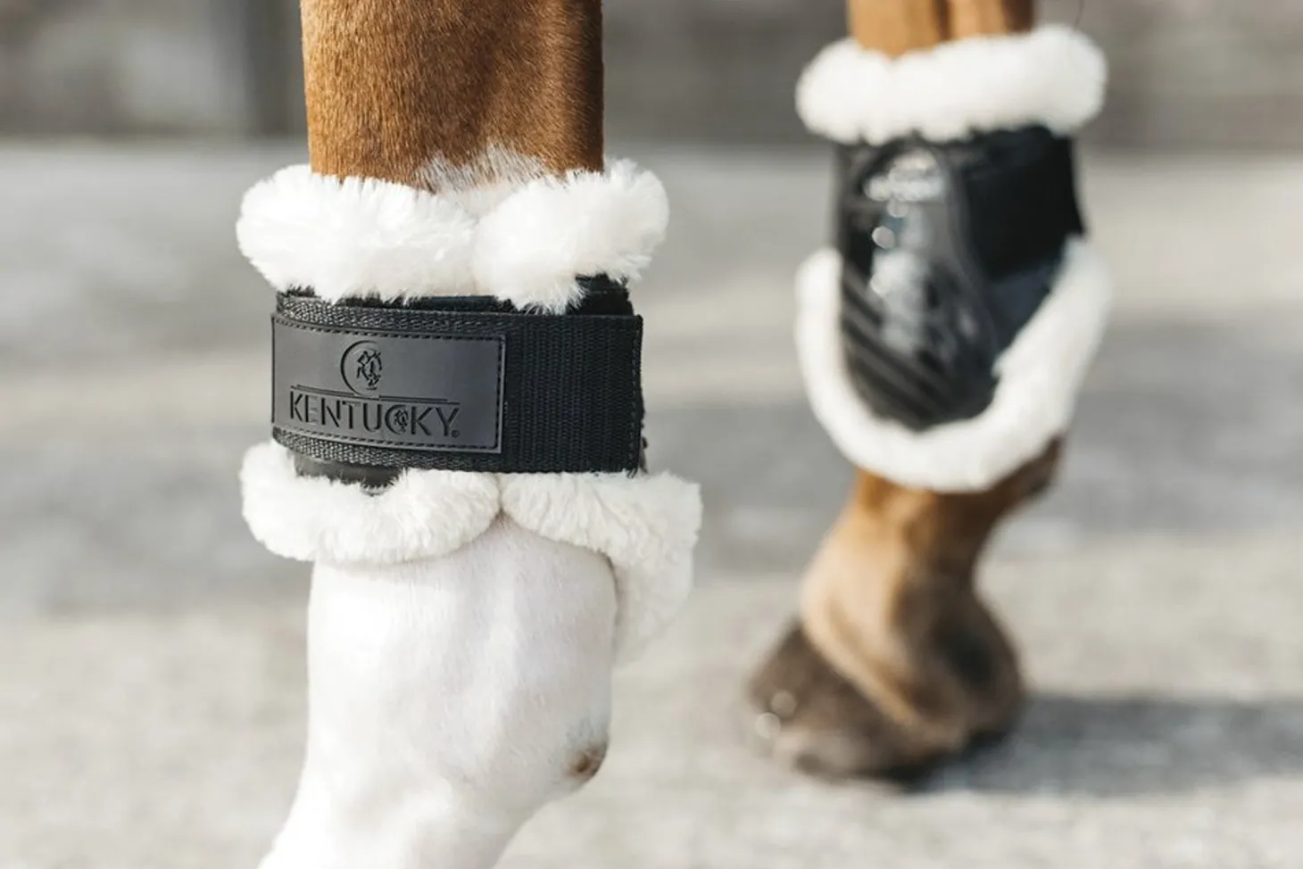 Kentucky Horsewear Vegan Sheepskin Young Horse Fetlock Boots