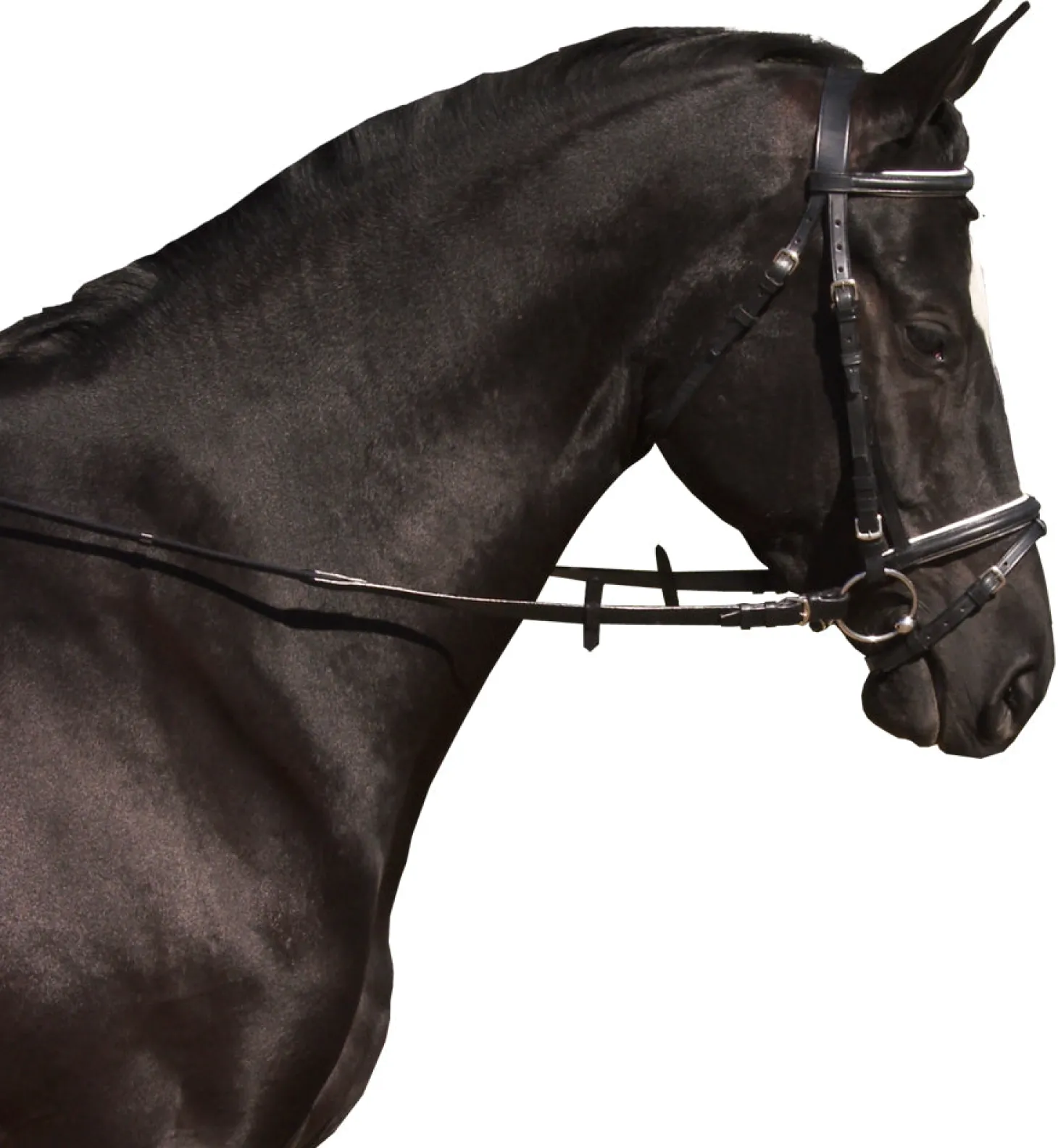 Kieffer Ergonomic III Snaffle Bridle