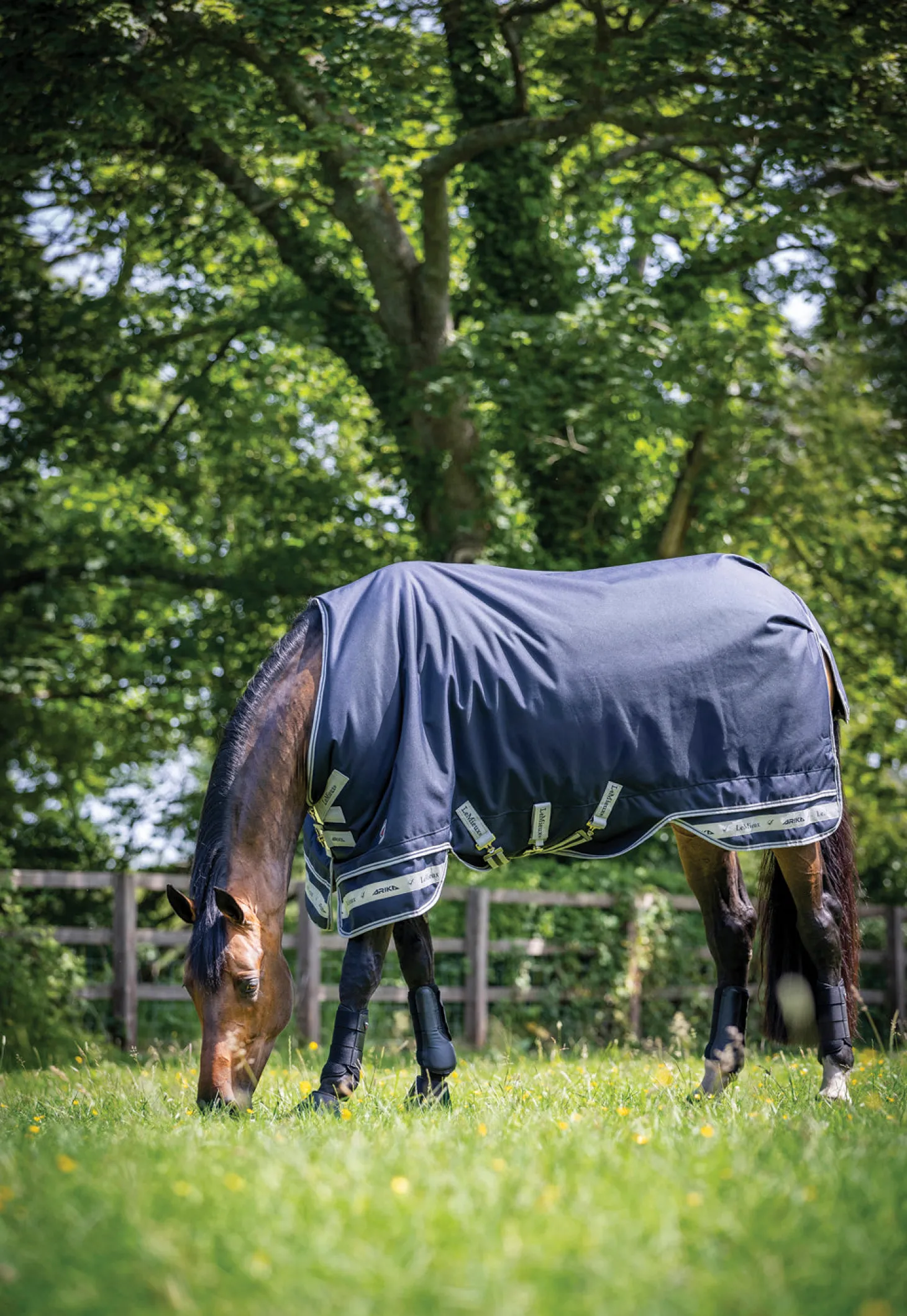 LeMieux® Arika Featherweight Turnout Sheet