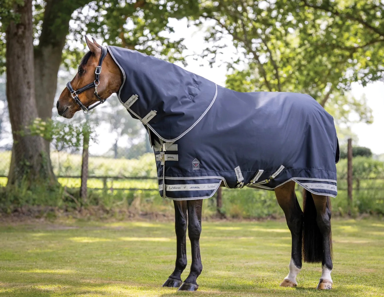 LeMieux® Arika Storm-Tek 100 Gram Turnout Blanket