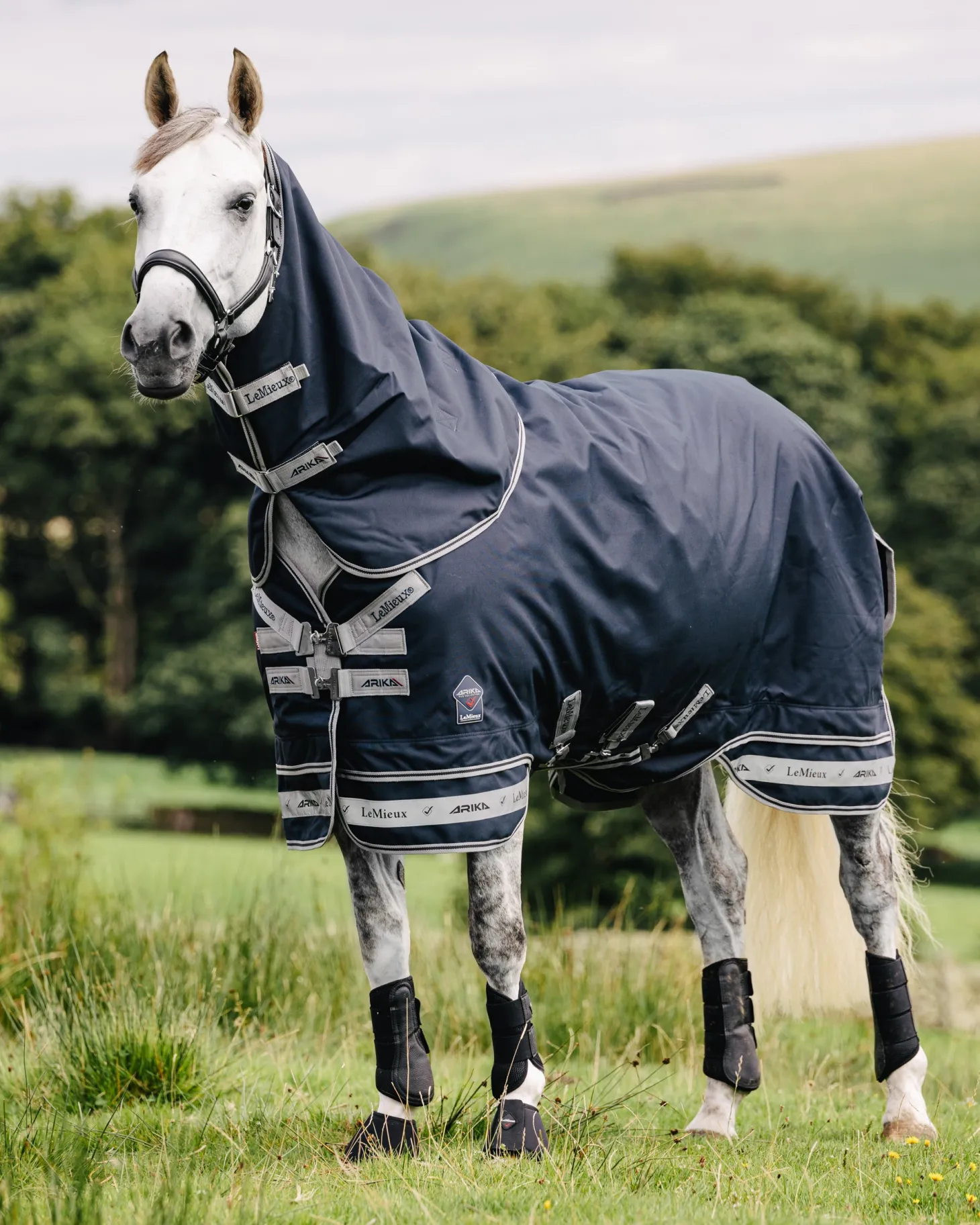 LeMieux® Arika Storm-Tek 100 Gram Turnout Blanket