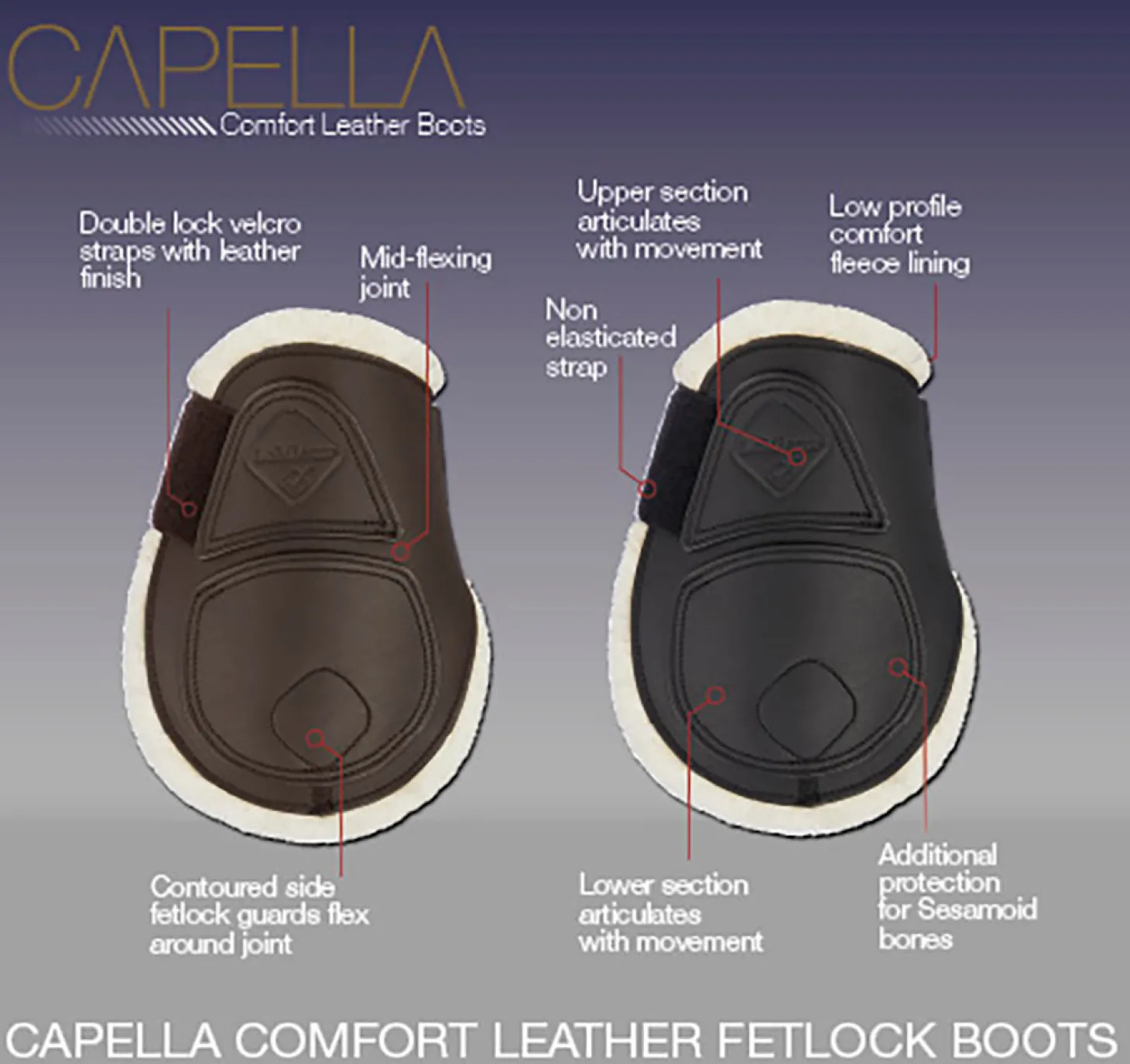 LeMieux® Capella Comfort Fetlock Boots