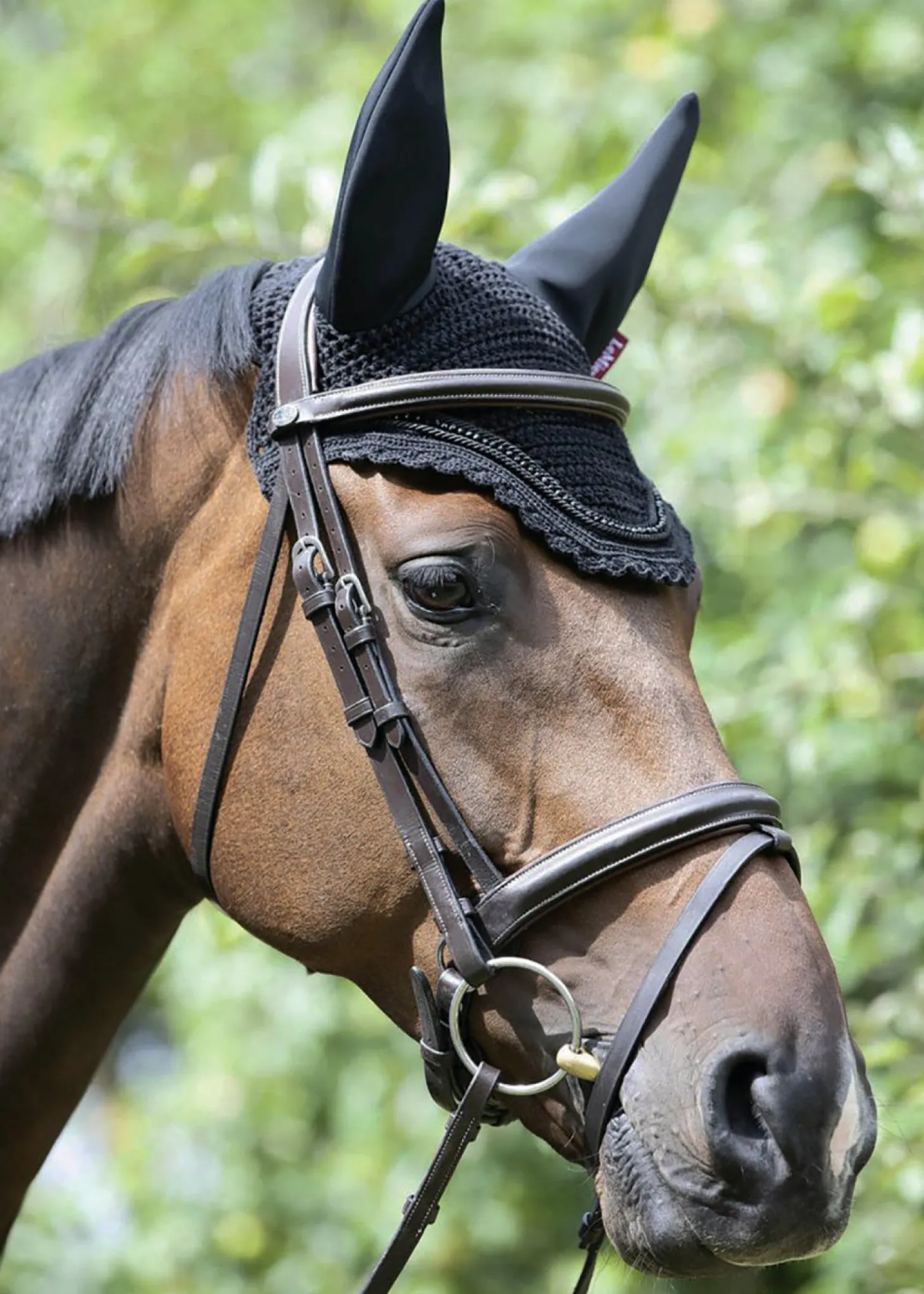 LeMieux® Diamanté Acoustic Fly Hood