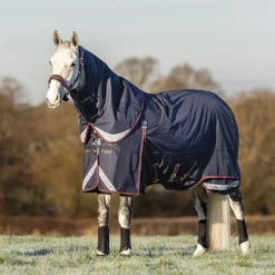 LeMieux® Kudos 200 Gram Turnout Blanket with Leg Straps