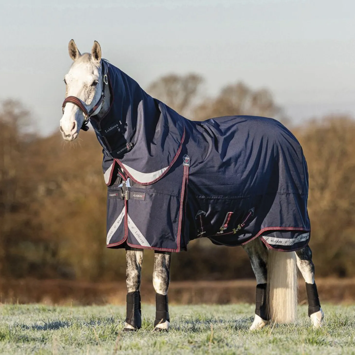 LeMieux® Kudos 200 Gram Turnout Blanket with Leg Straps