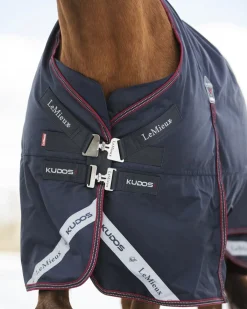 LeMieux® Kudos 200 Gram Turnout Blanket with Leg Straps
