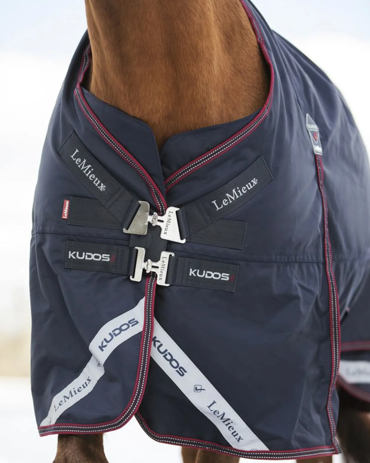LeMieux® Kudos 200 Gram Turnout Blanket with Leg Straps