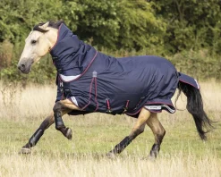 LeMieux® Kudos 100 Gram Turnout Blanket with Leg Straps