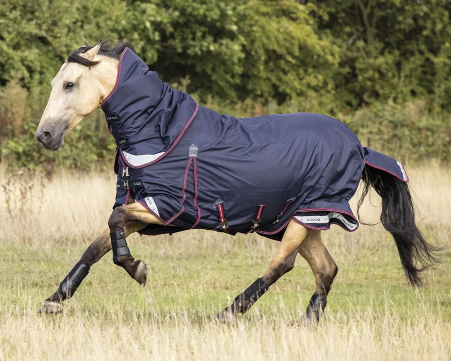 LeMieux® Kudos 100 Gram Turnout Blanket with Leg Straps