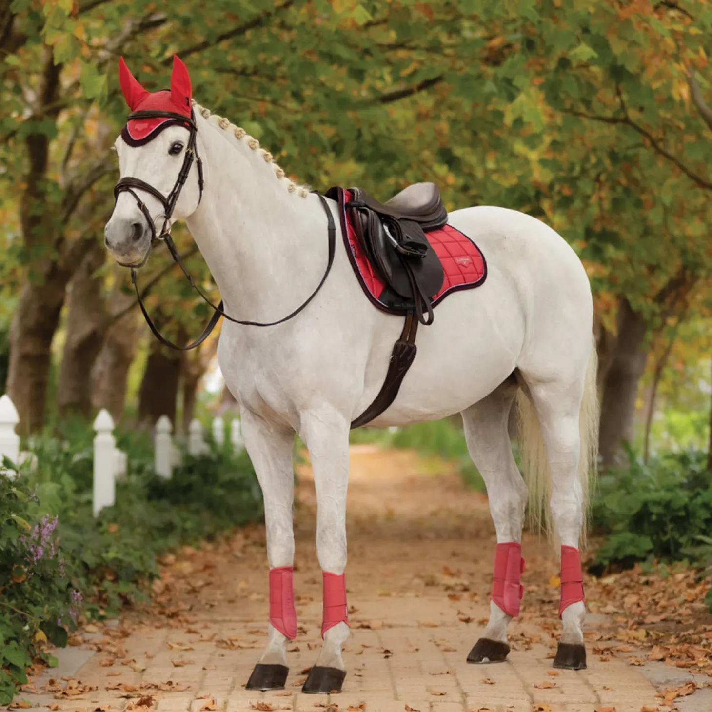 LeMieux® Loire Classic GP Saddle Pad