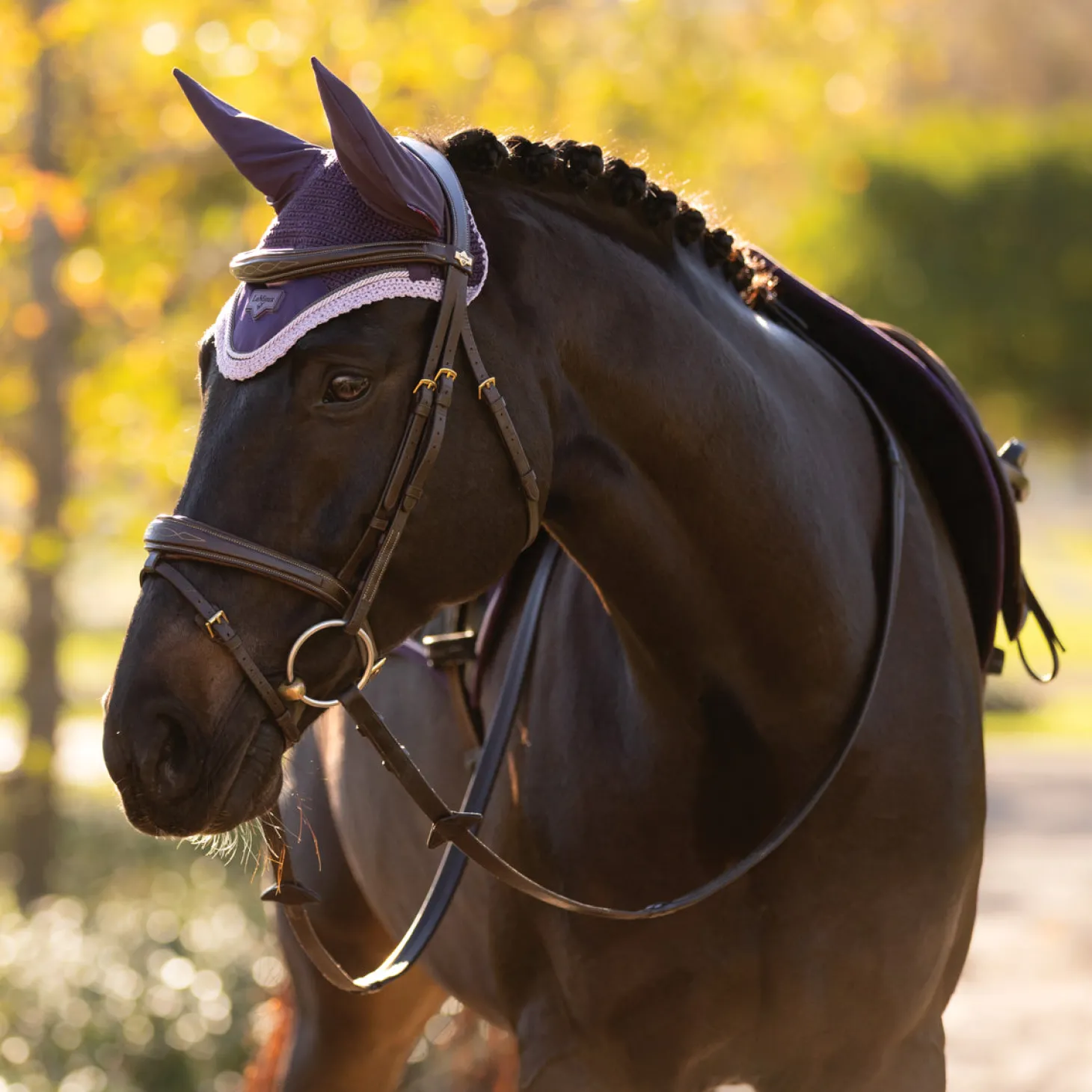LeMieux® Loire Fly Bonnet
