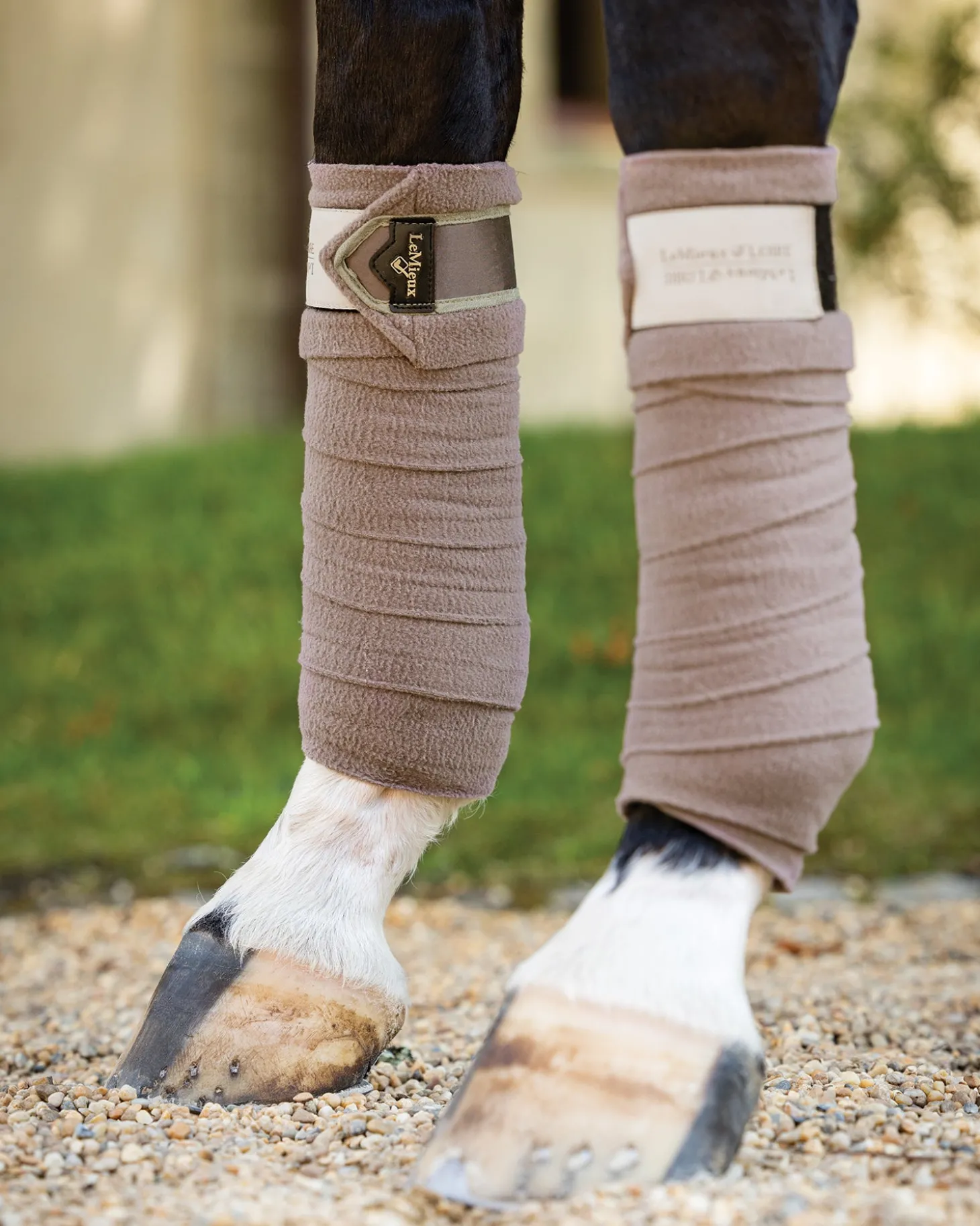 LeMieux® Loire Polo Wraps