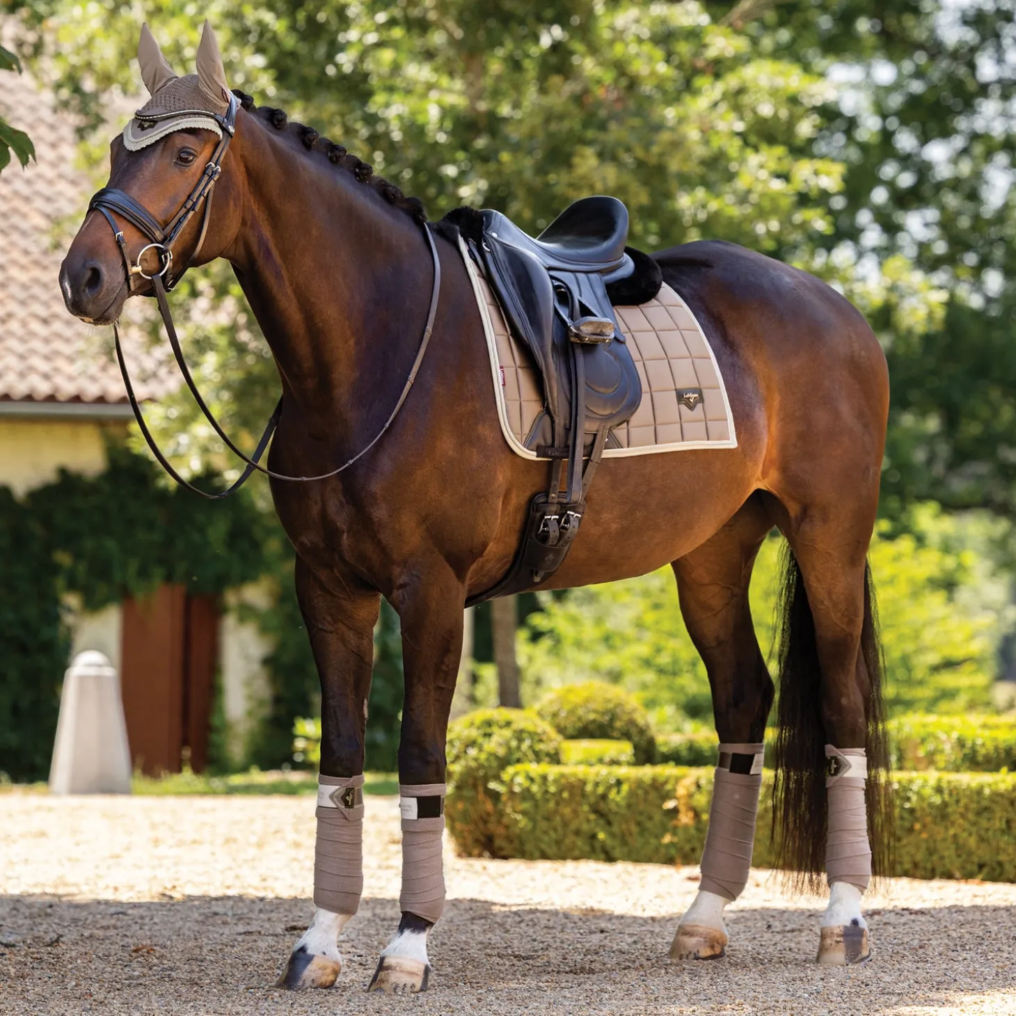LeMieux® Loire Polo Wraps