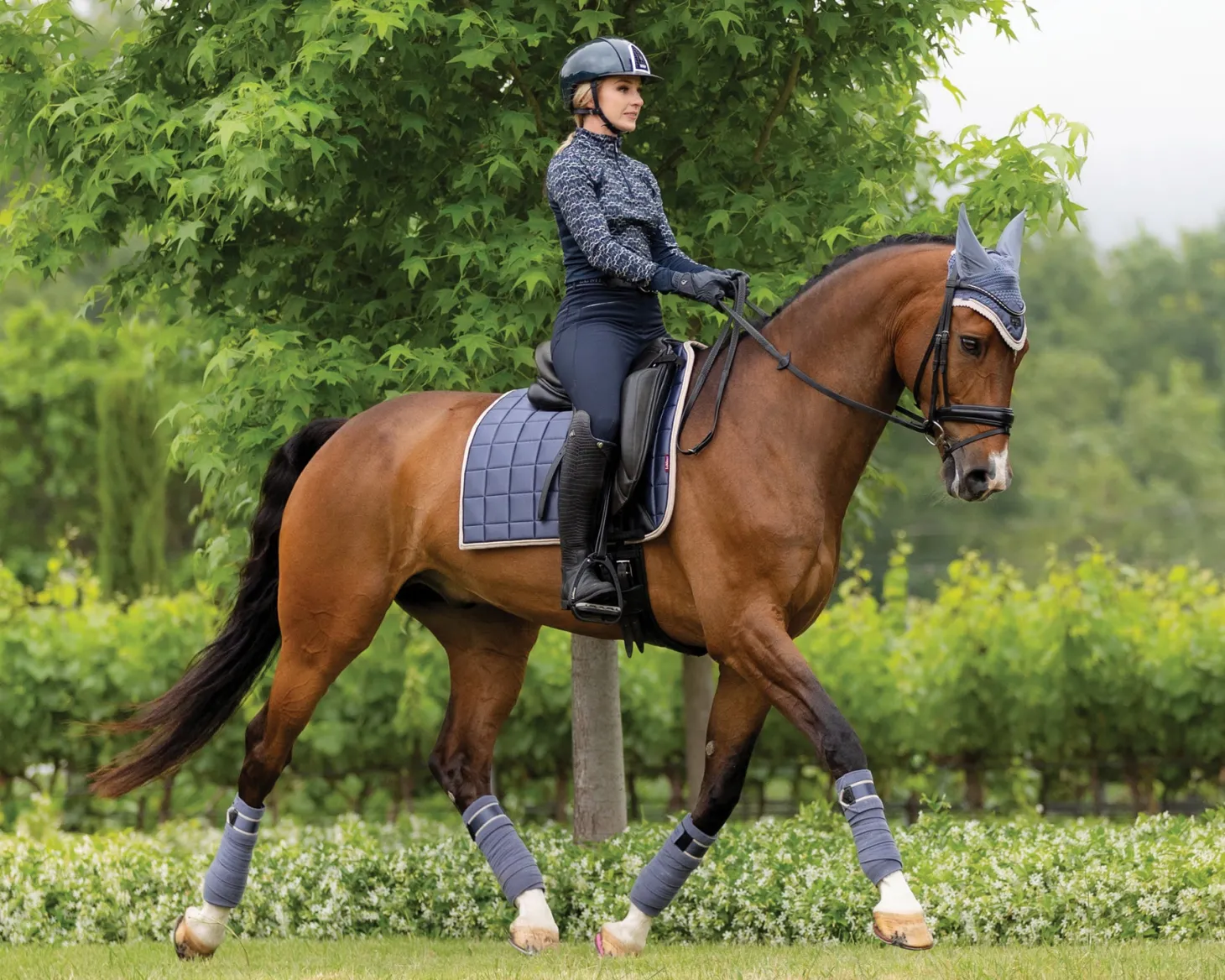 LeMieux® Loire Polo Wraps