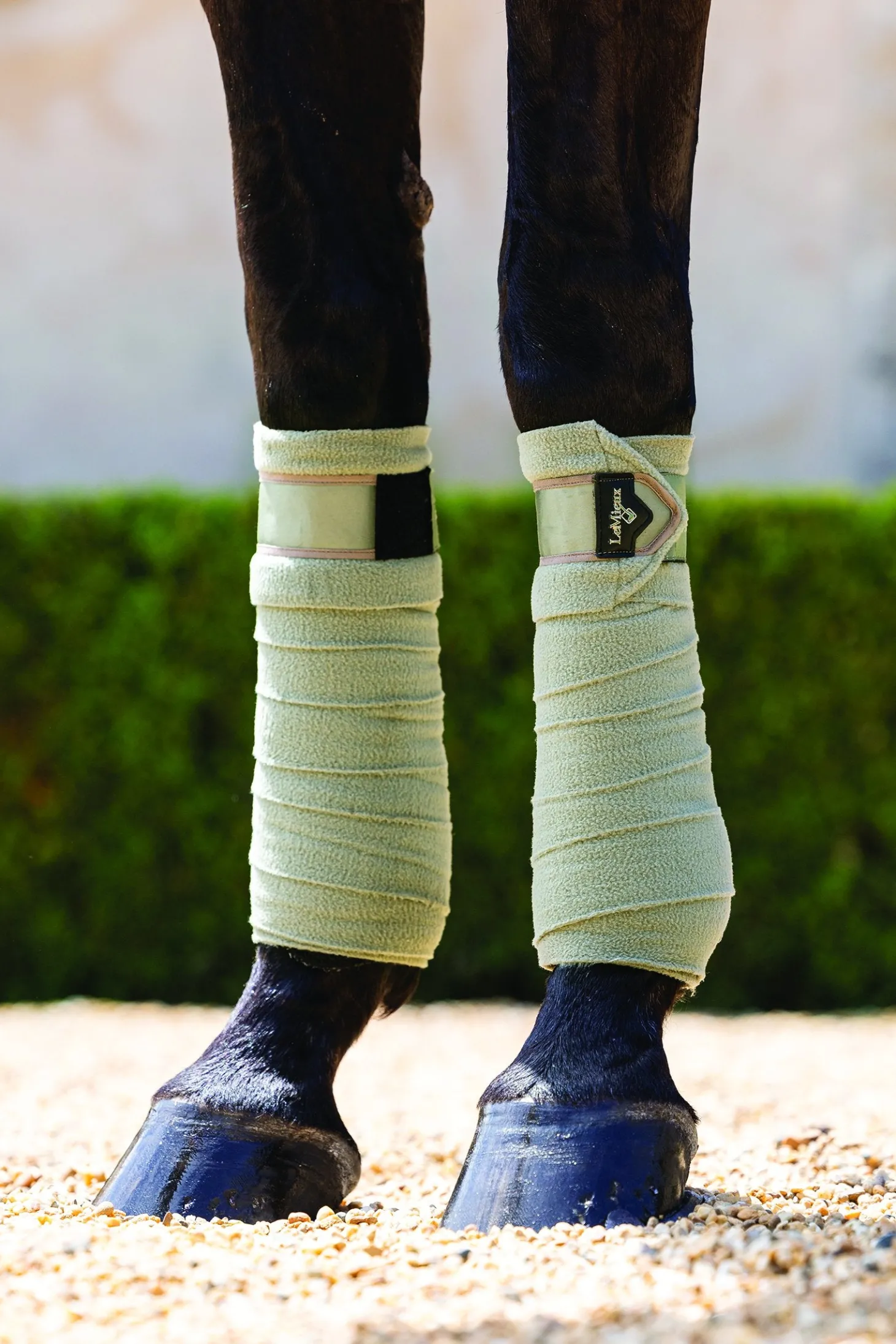 LeMieux® Loire Polo Wraps