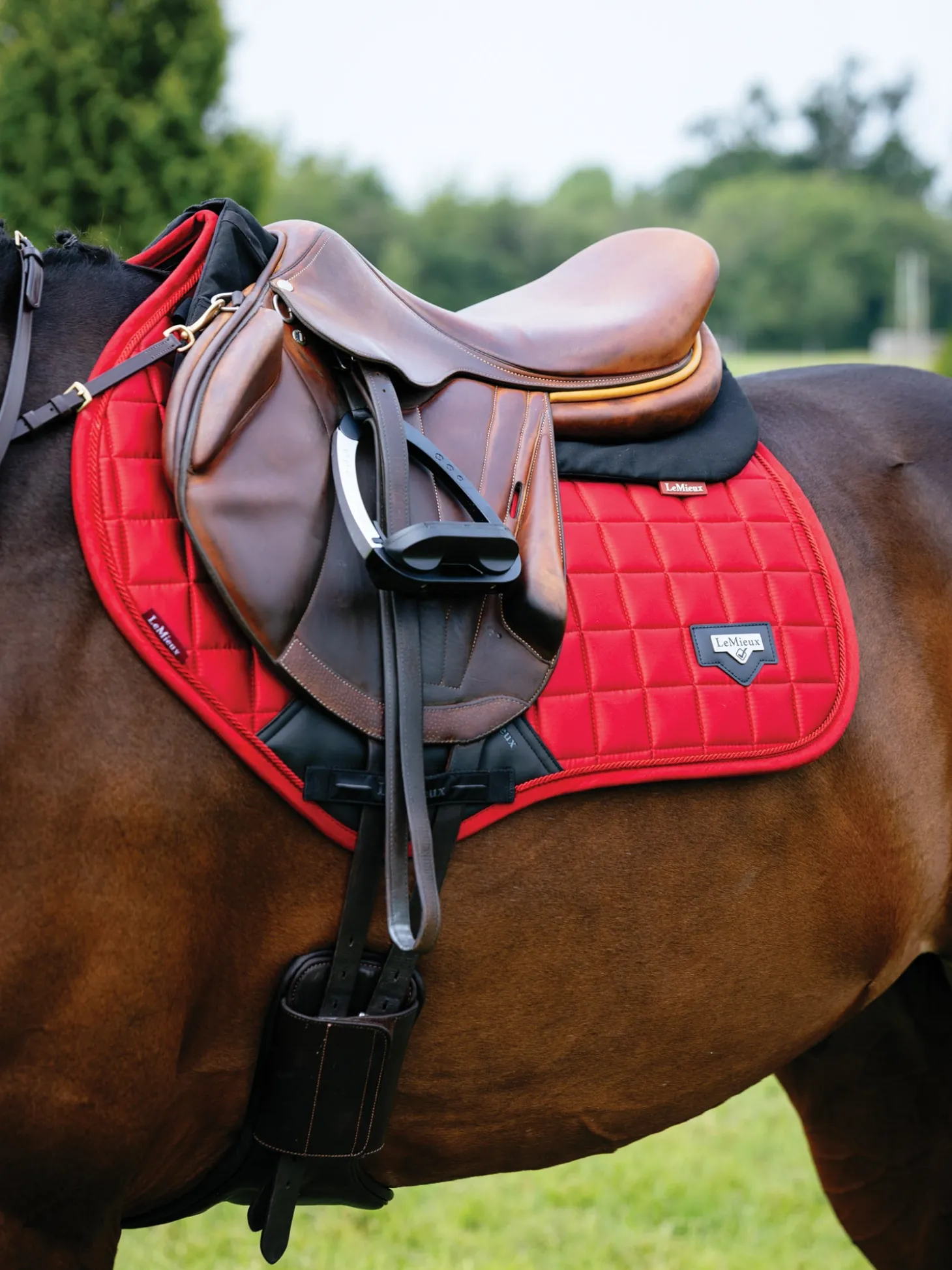 LeMieux® Loire Satin Classic Close Contact Saddle Pad