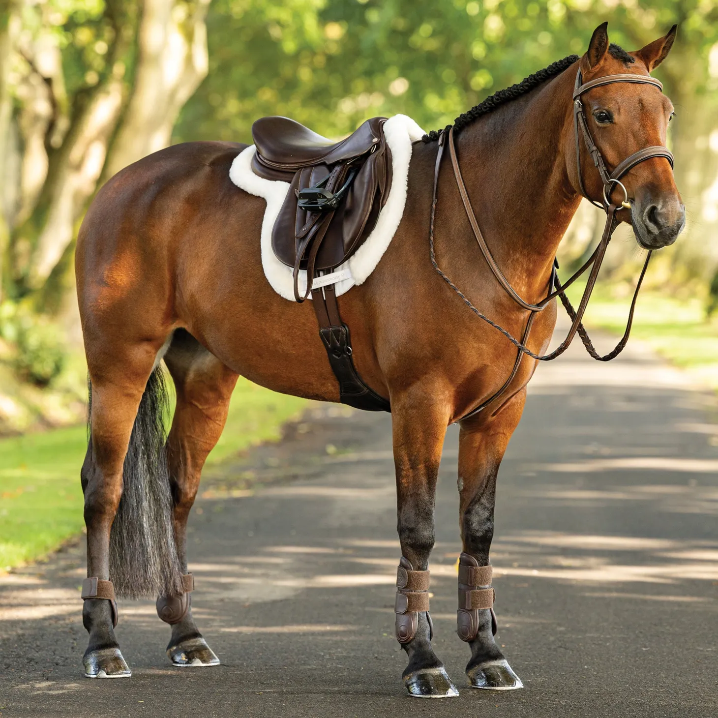 LeMieux® Merino+ ProSorb Hunter Saddle Pad