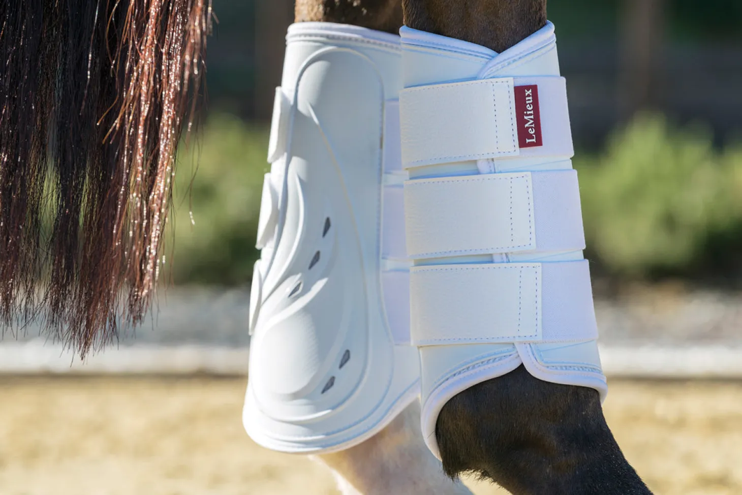 LeMieux® ProShell Brushing Boots