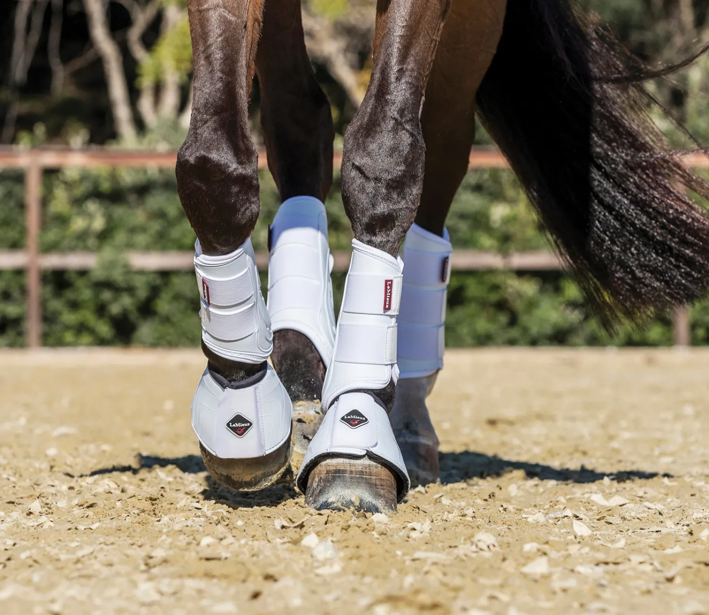 LeMieux® ProShell Brushing Boots