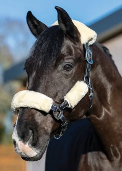 LeMieux® Simuwool 4-Piece Halter Set