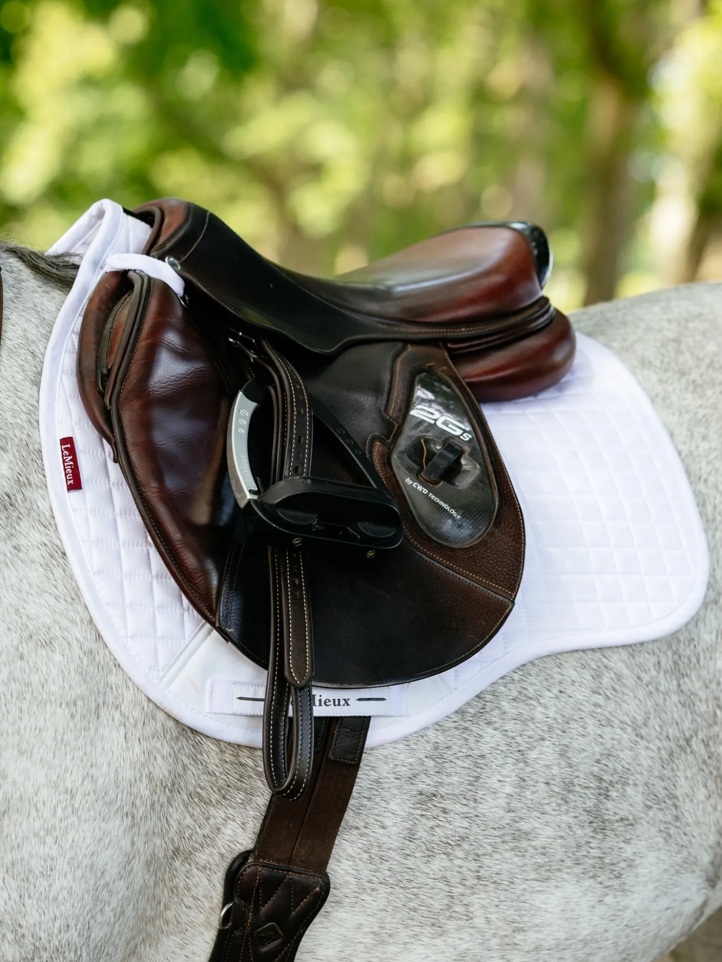 LeMieux® Suede GP Saddle Pad
