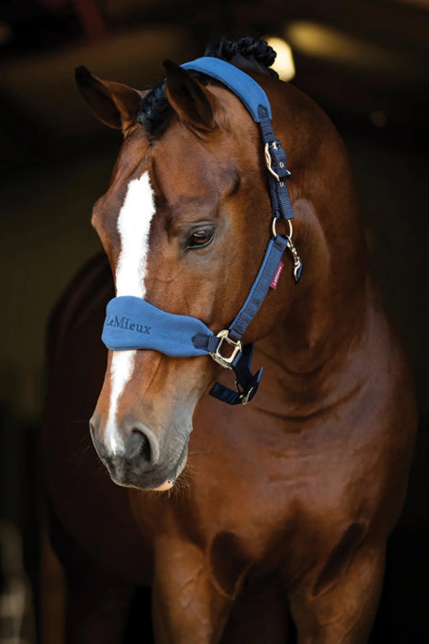 LeMieux® Vogue Halter & Lead Rope Set