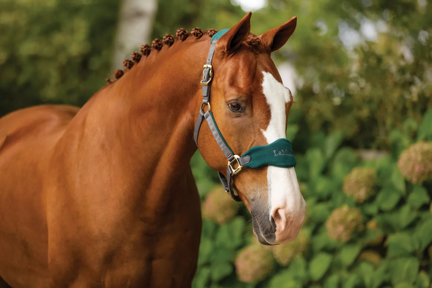 LeMieux® Vogue Halter & Lead Rope Set