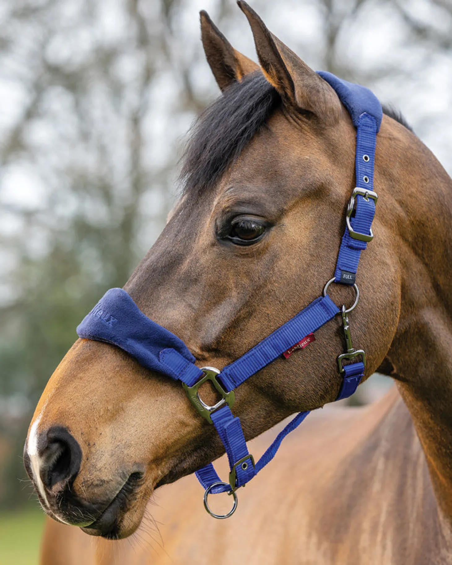 LeMieux® Vogue Halter & Rope Lead Set