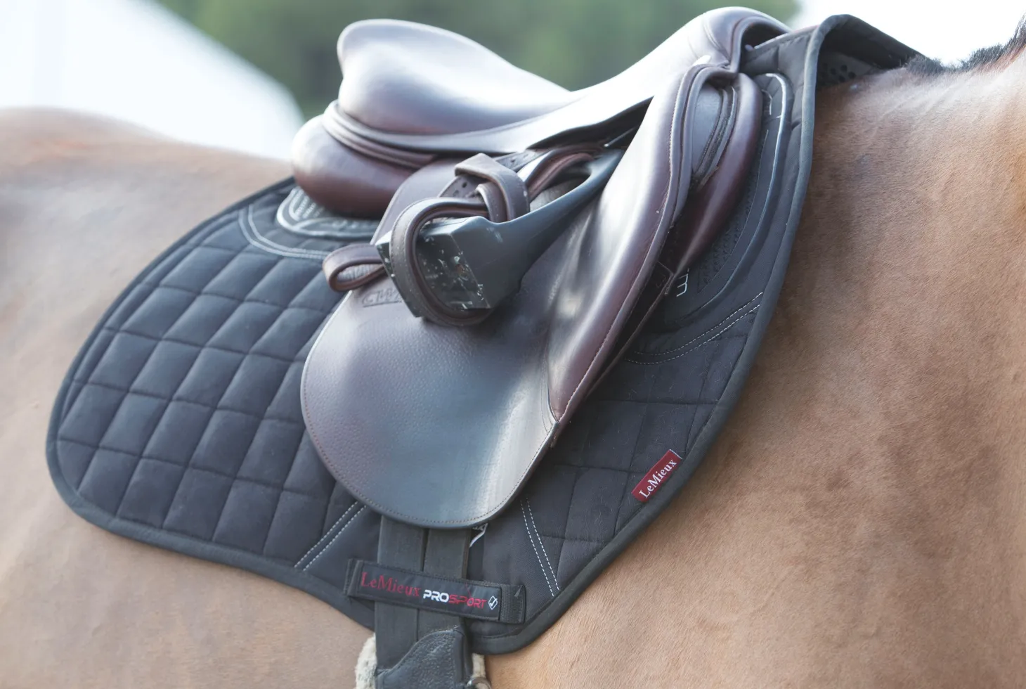 LeMieux® X-Grip EuroJump Square Pad
