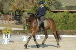 LeMieux® Suede Dressage Square Pad