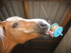 Likit™ Granola Refill