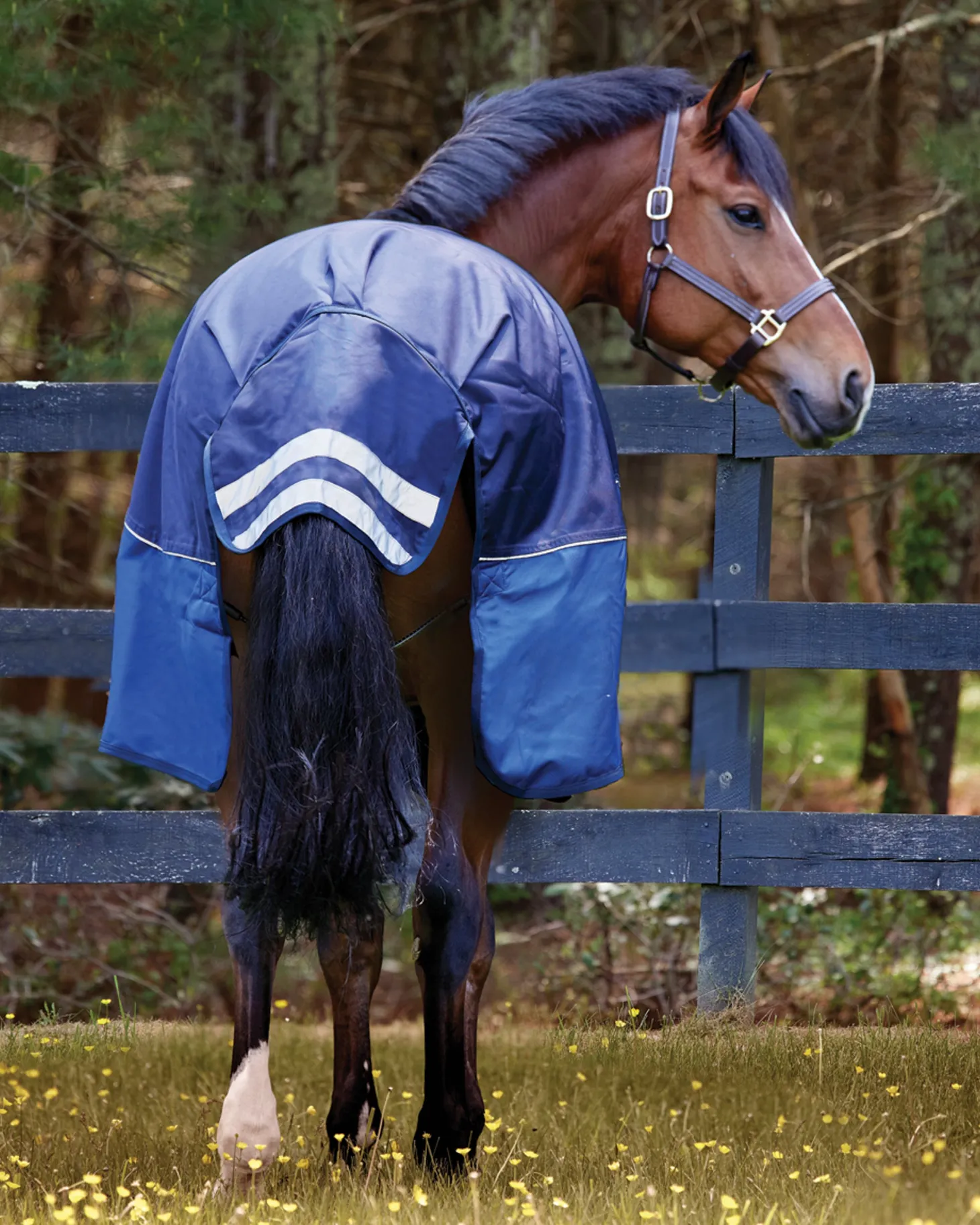 NorthWind™ Medium-Weight Turnout Blanket