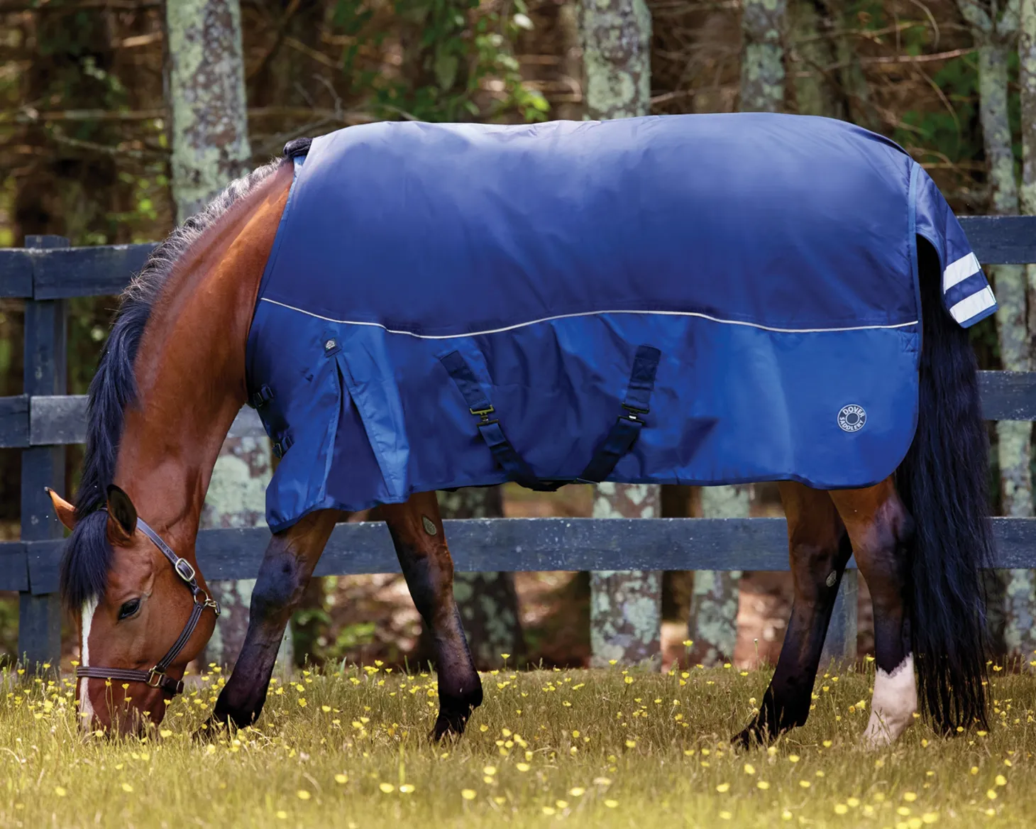 NorthWind™ Medium-Weight Turnout Blanket