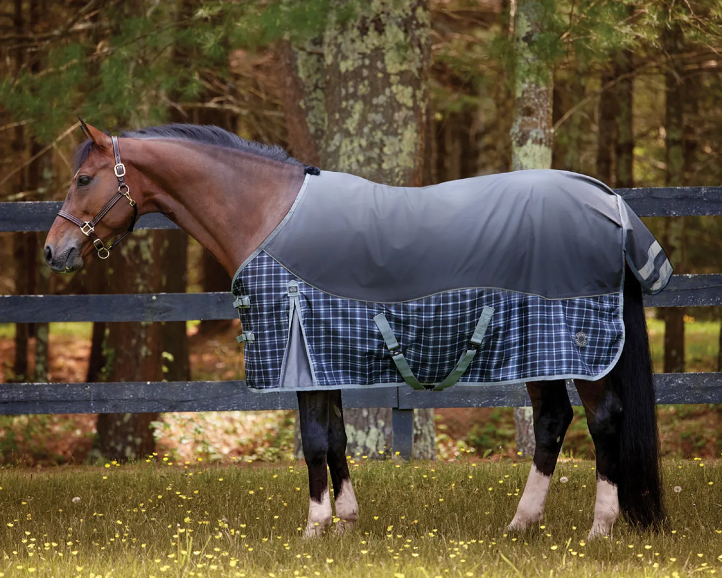 NorthWind™ Turnout Sheet