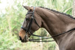 Otto Schumacher Tiffany Double Bridle