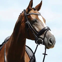 Passier® Atlas Snaffle Bridle