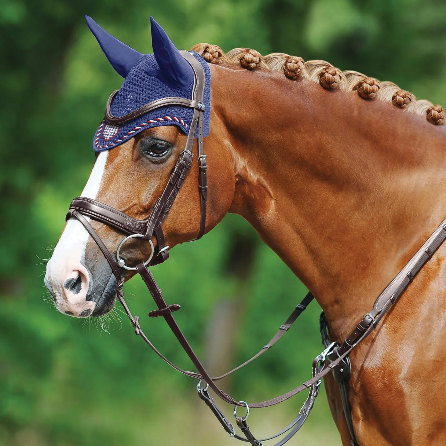 Passier® Marcus Ehning II Snaffle Bridle