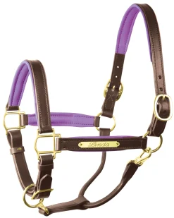 Perri’s® 1" Padded Leather Halter with Nameplate
