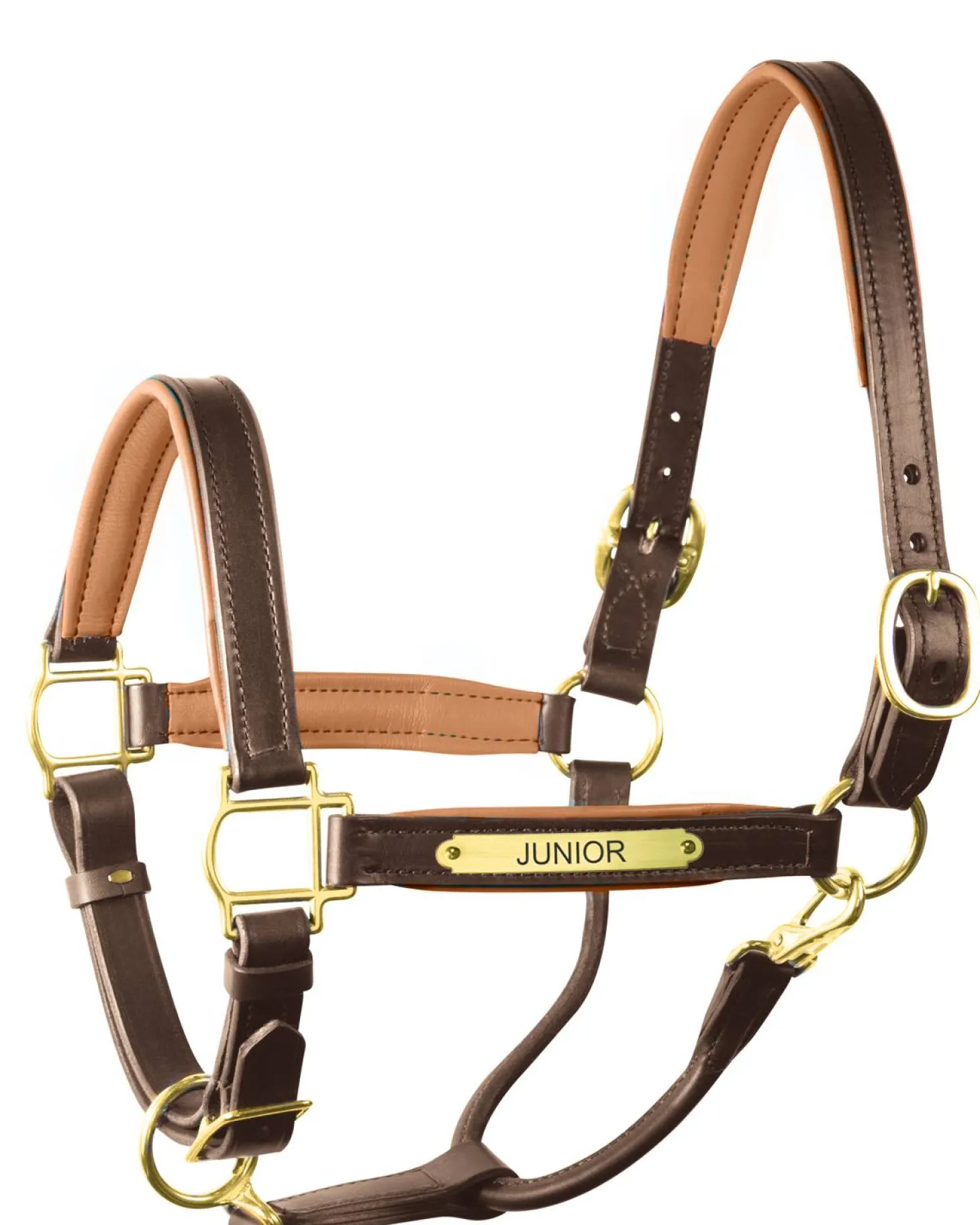 Perri’s® 1" Padded Leather Halter with Nameplate