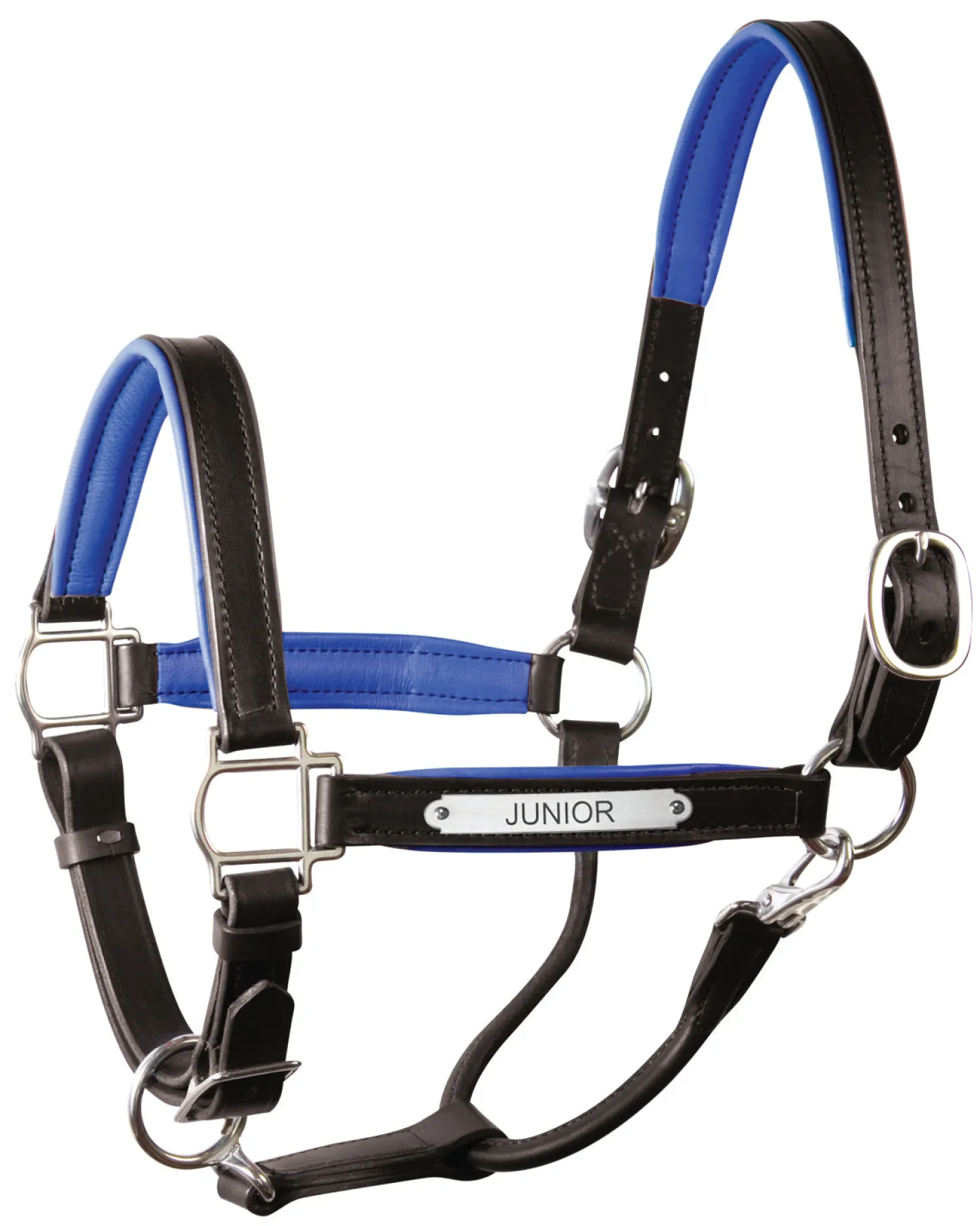 Perri’s® 1" Padded Leather Halter with Nameplate