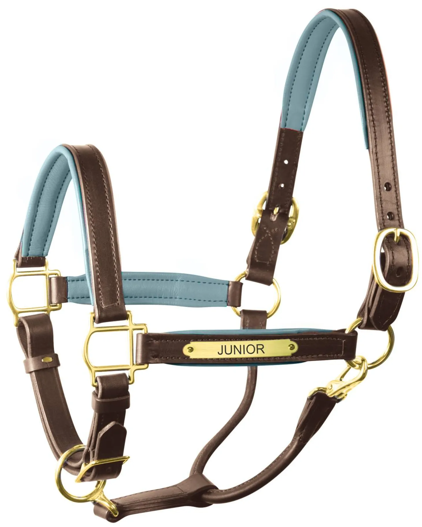 Perri’s® 1" Padded Leather Halter with Nameplate