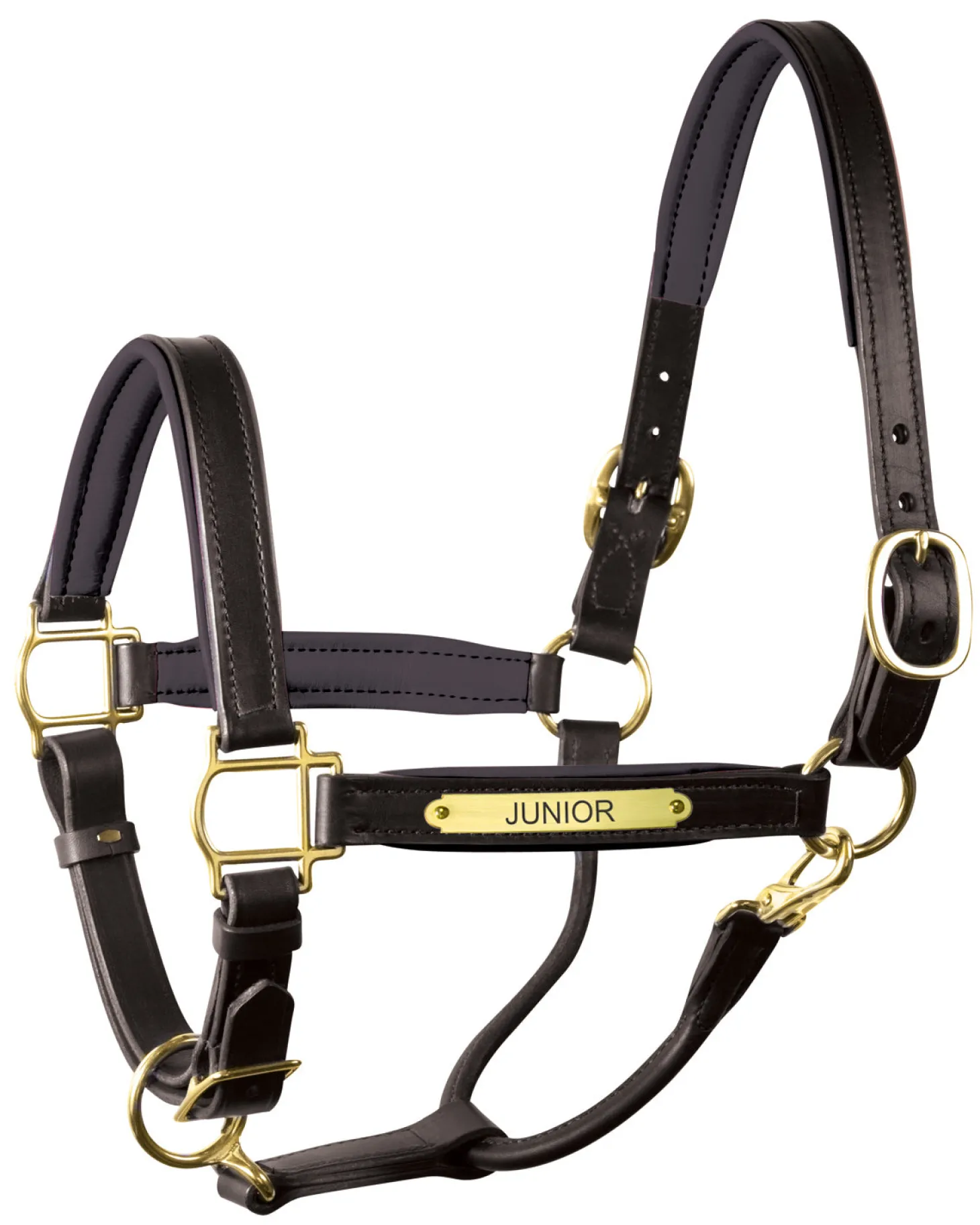 Perri’s® 1" Padded Leather Halter with Nameplate