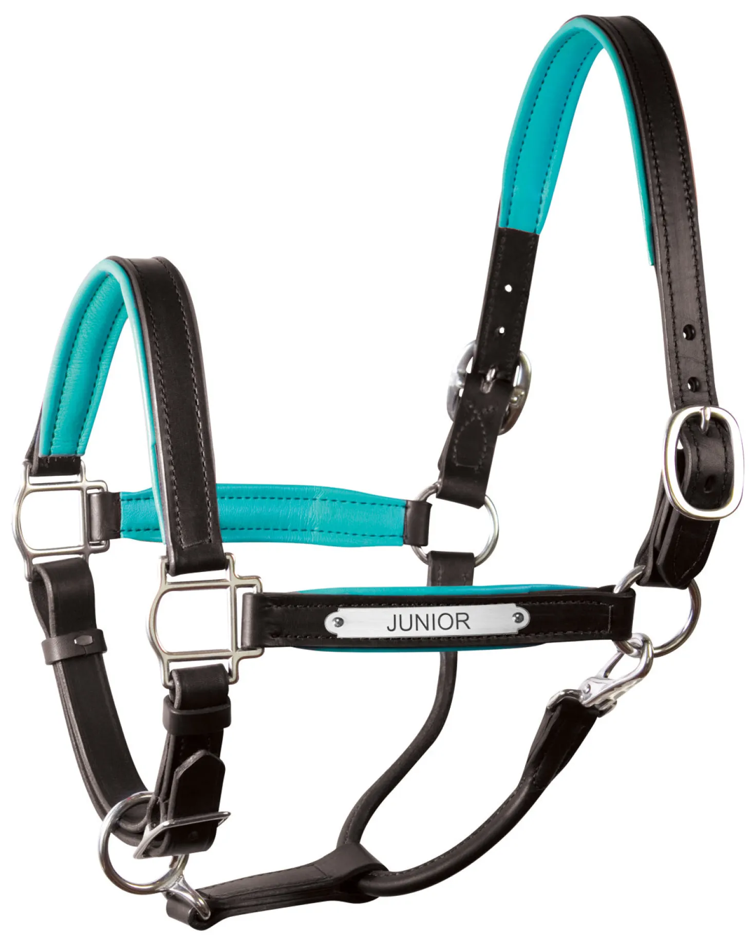 Perri’s® 1" Padded Leather Halter with Nameplate