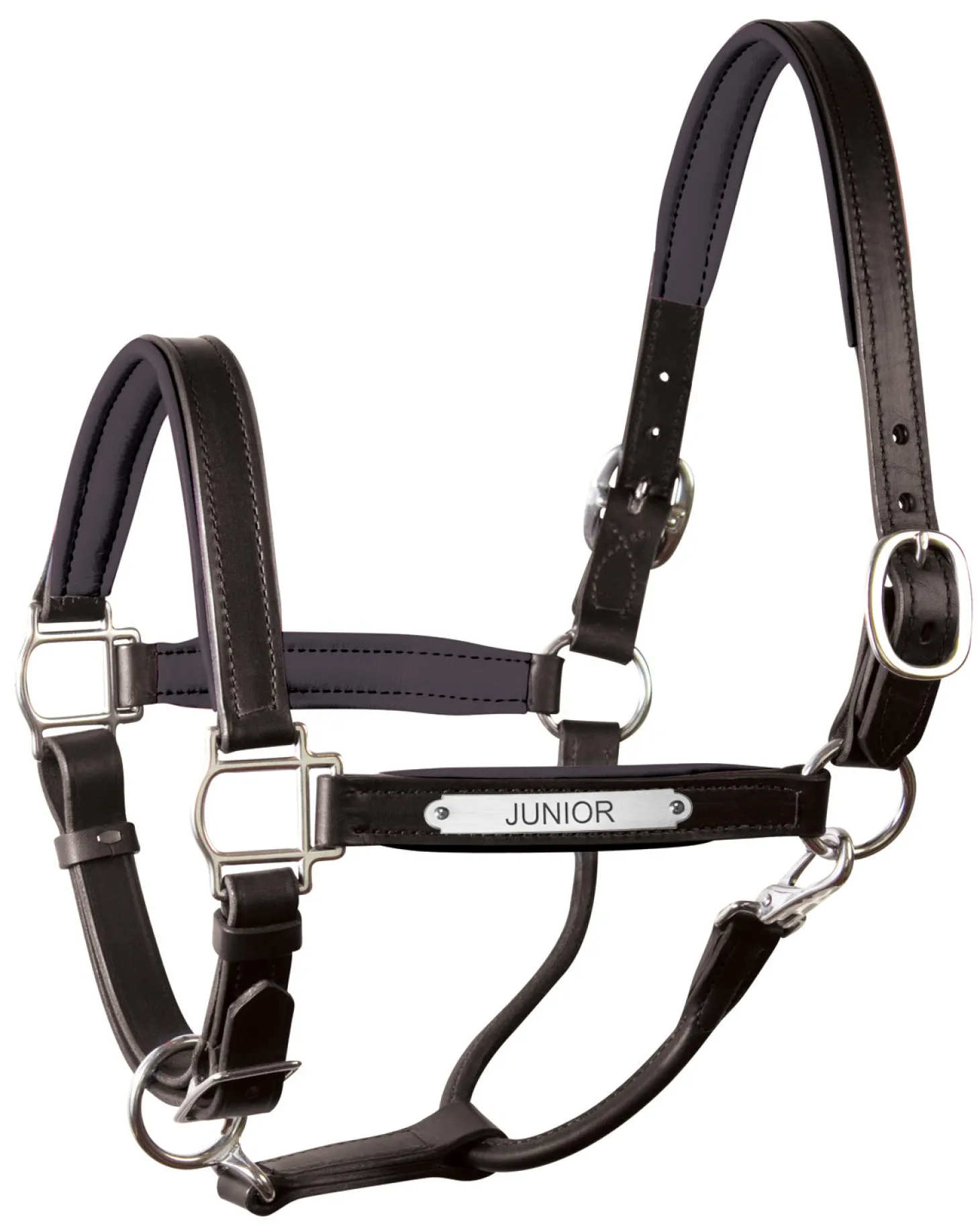 Perri’s® 1" Padded Leather Halter with Nameplate