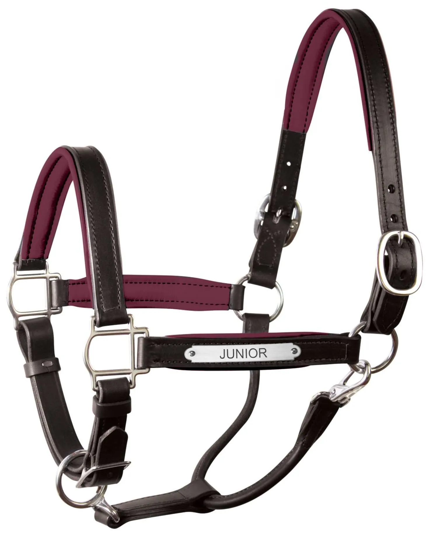 Perri’s® 1" Padded Leather Halter with Nameplate