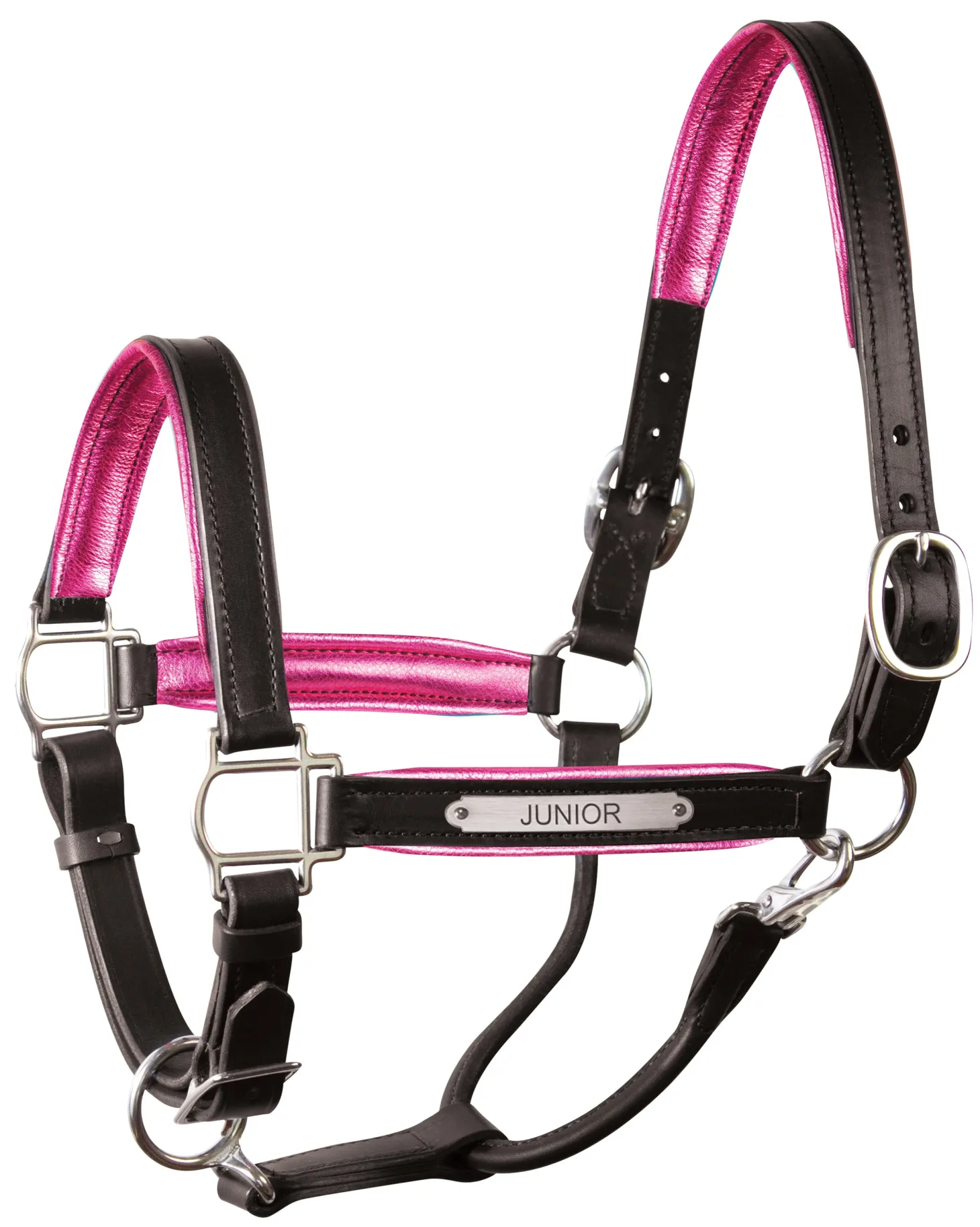 Perri’s® 1" Padded Leather Halter with Nameplate