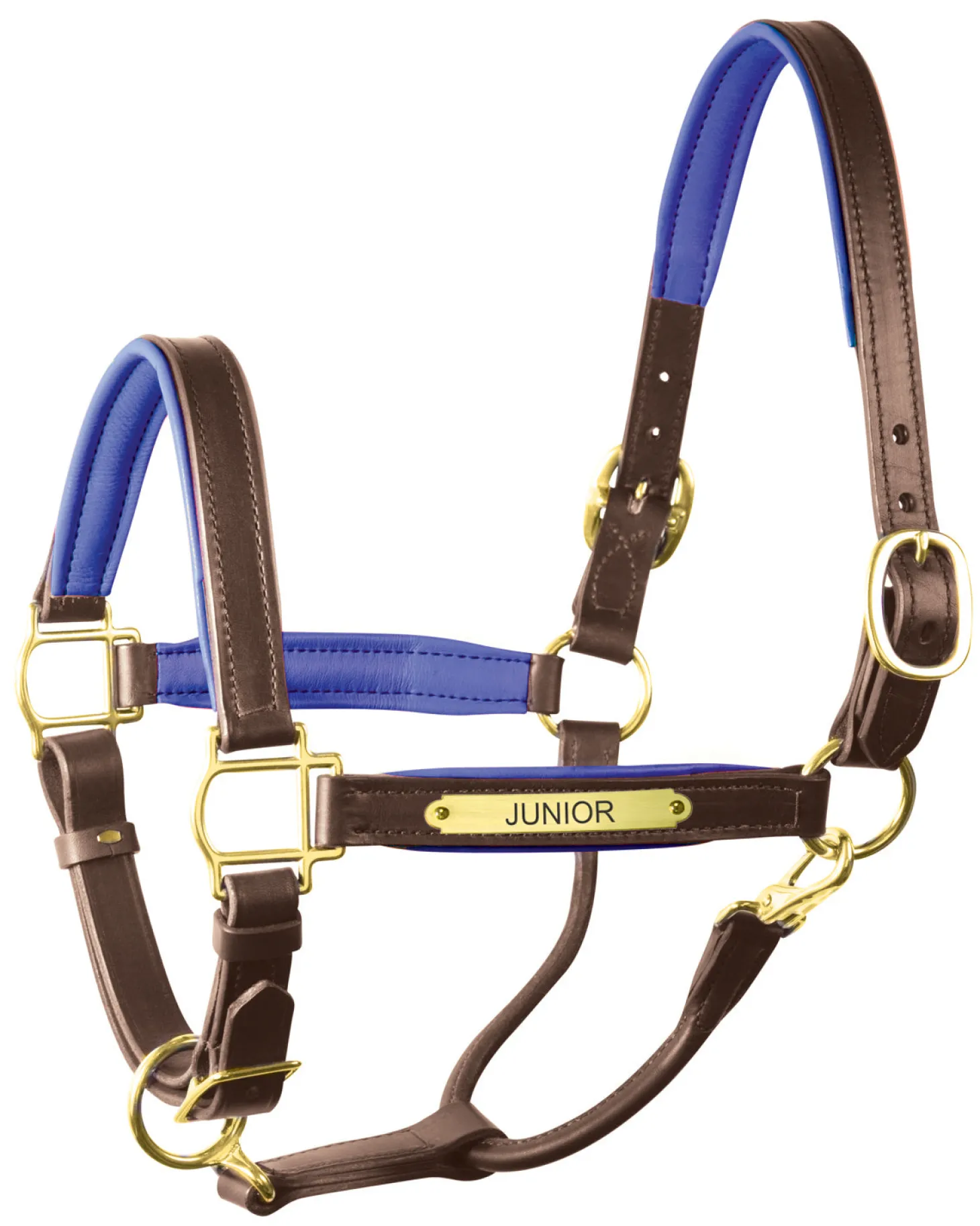 Perri’s® 1" Padded Leather Halter with Nameplate