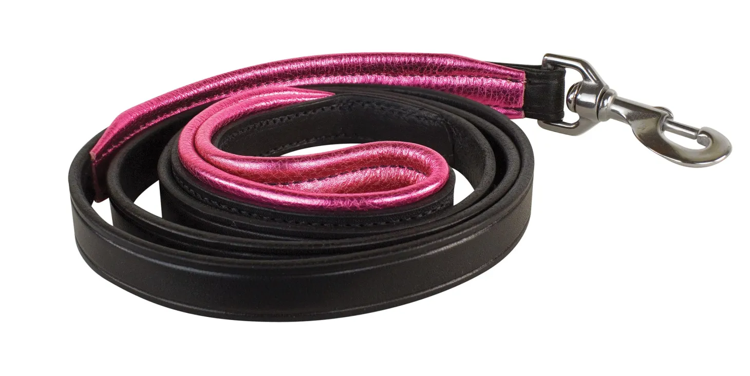 Perri’s® Padded Leather Nameplate Dog Leash